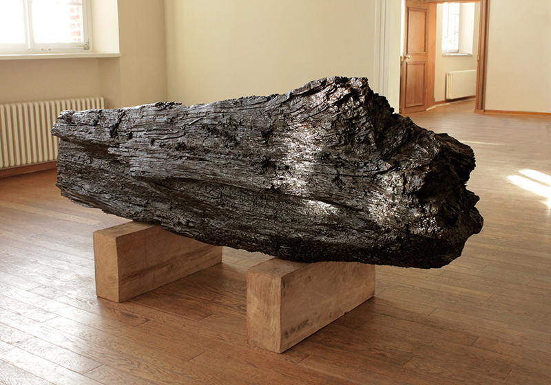 Till Hausmann, Sicherungsbewahrung (Garzweiler II), 2014